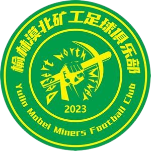 Yulin Mobei Miners